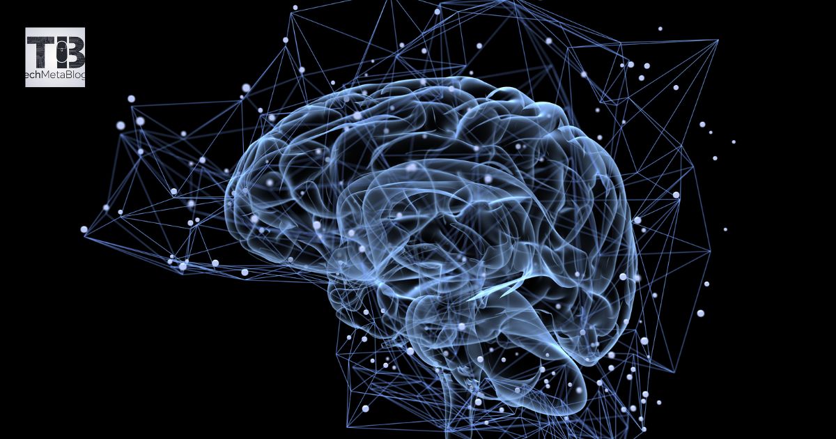 Brainpathjunction: Learn about the construct of the mind network