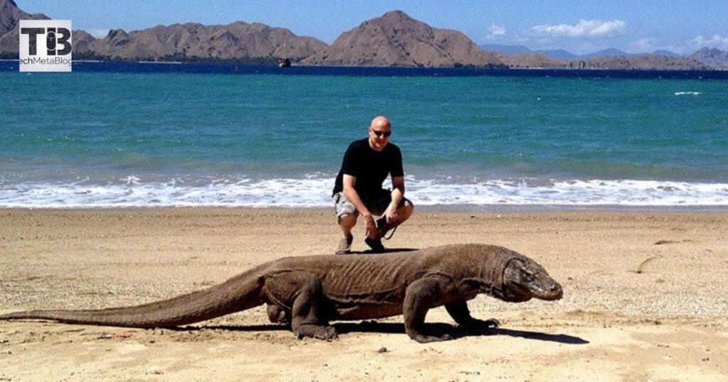 Can Humans Outrun Komodo Dragons?