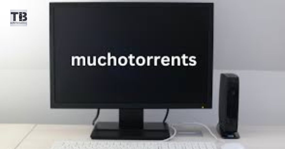 Muchotrorents: Let’s Go Further Down the Rabbit Hole of Piracy and Online File Sharing