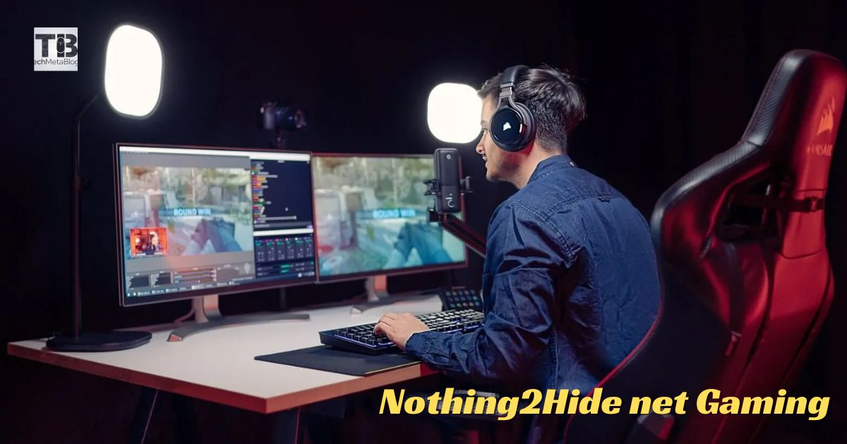 Nothing2Hide.net Gaming: A Detailed Descriptive Guide