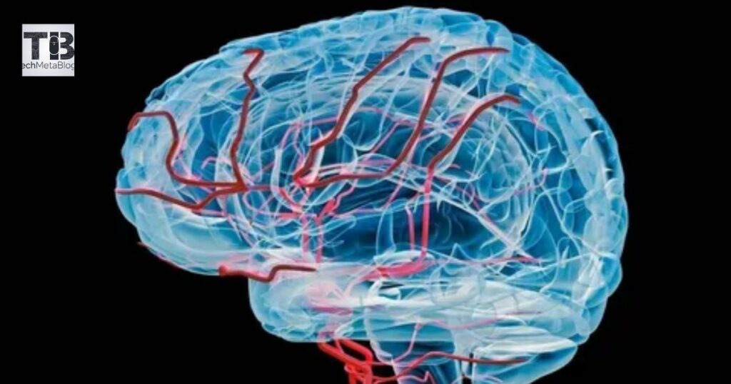 What is a Brainpath Junction?